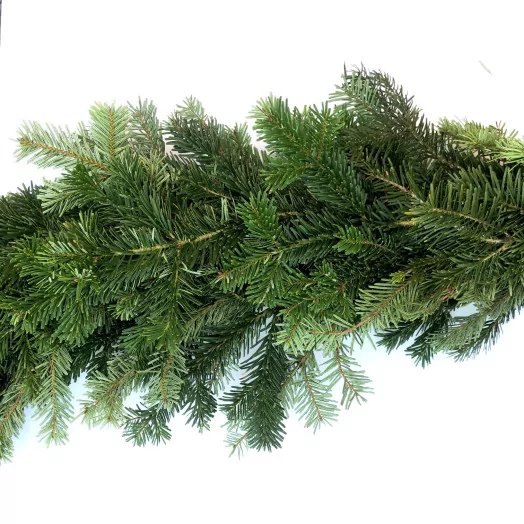 ASS BRANCHAGE GUIRLANDE NORDMANN LE BALLOT DE 2X3ML EXTRA