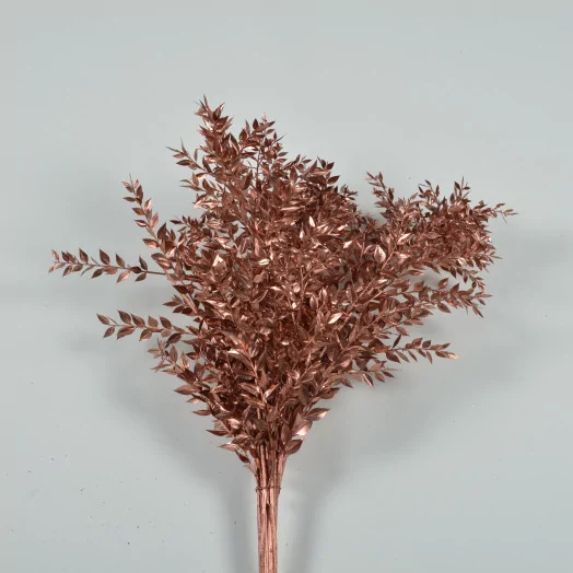 RUSCUS PEINT CUIVRE LA BOTTE 80-100