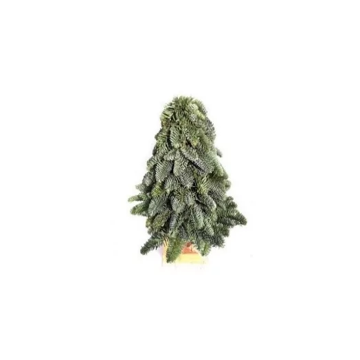 ASS NOBILIS SAPIN 100CM 3D ROND 48100
