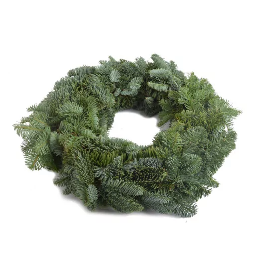 ASS NOBILIS COURONNE 50CM DOUBLE FACE 45-50CM