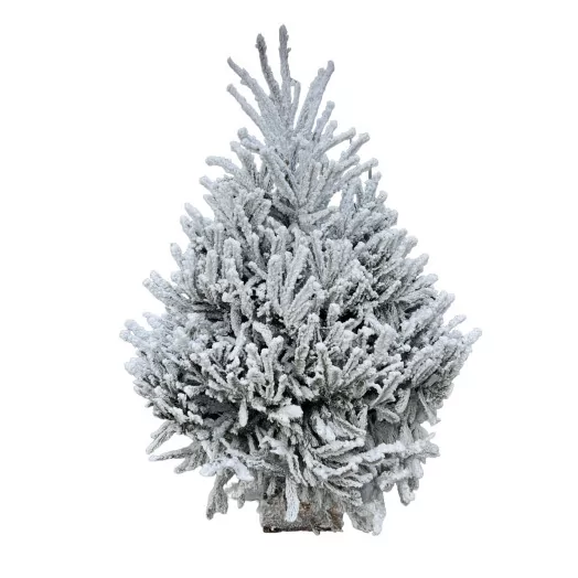 SC EPICEA FLOCKE BLANC 180-200CM