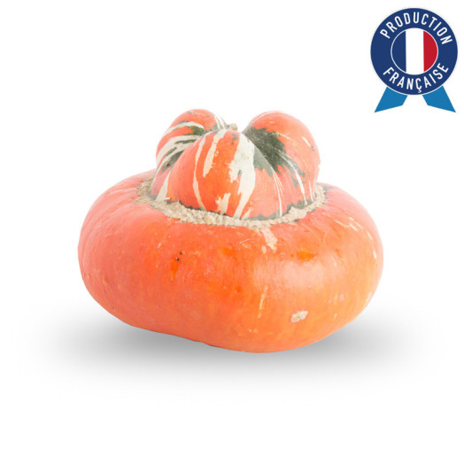 CUCURBITA maxima Bonnet Turc MM