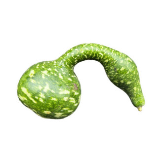 00002836_01