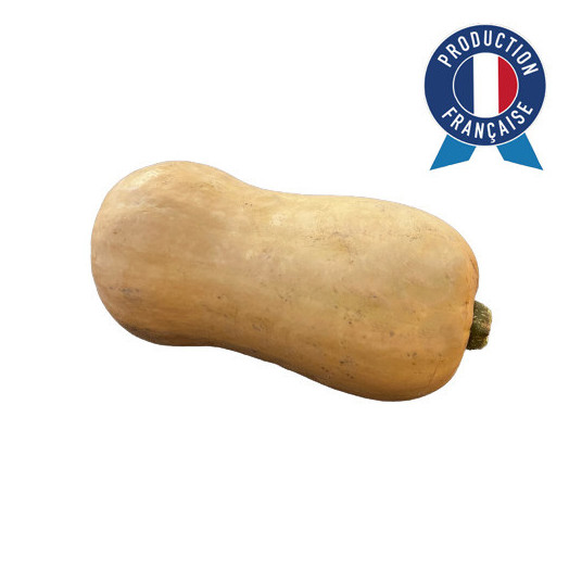 CUCURBITA pepo Butternut