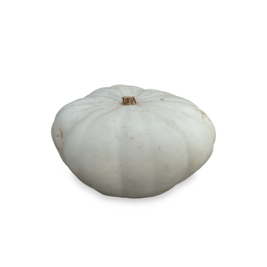 CUCURBITA maxima White Flat Boer