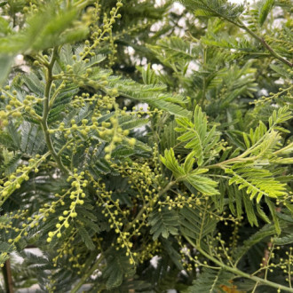 00067879_02