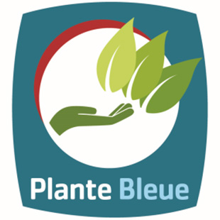 Plante Bleue